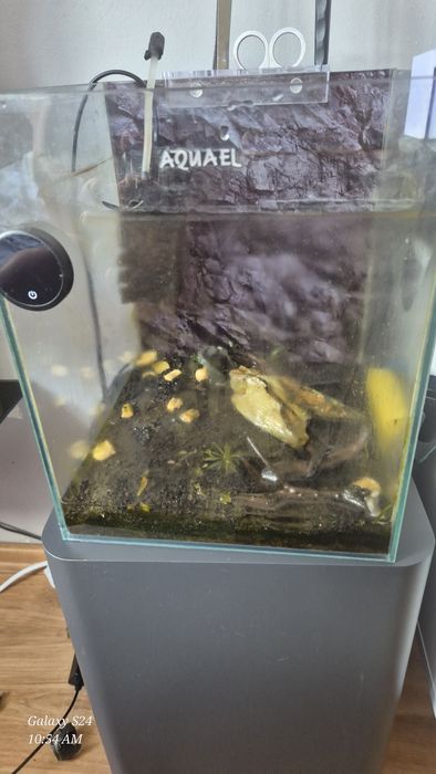 Sprzedam akwarium Aquael