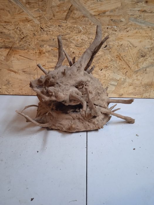 Korzeń do akwarium Red Moore Wood nr 27 o wymiarach 31/28/25