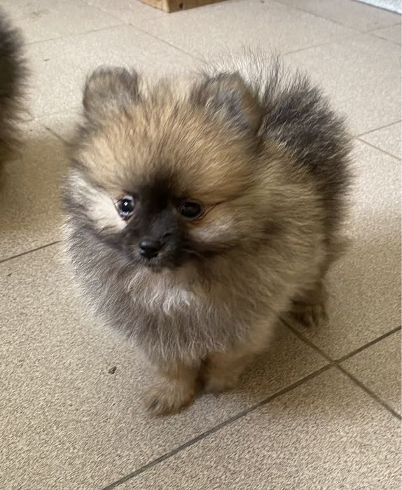 Красуні чекають на вас