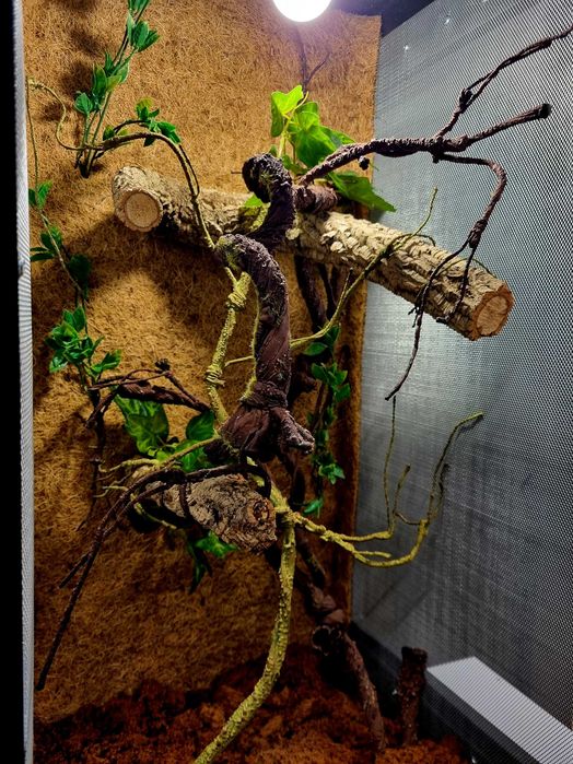 Terrarium 50x50x100 dla kameleona
