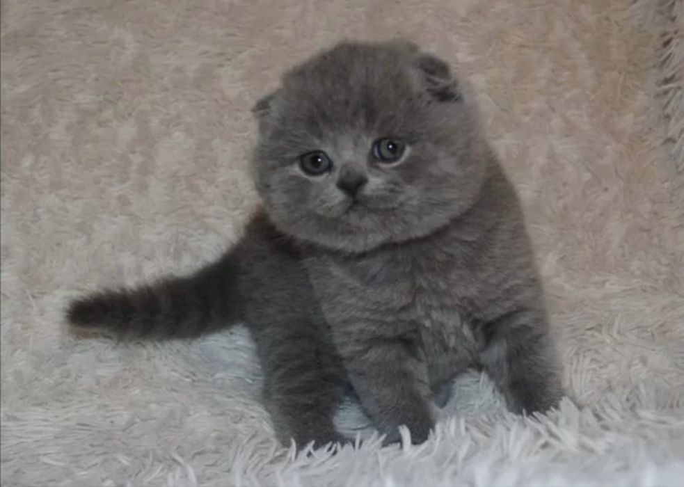 Малишка ждёт вас