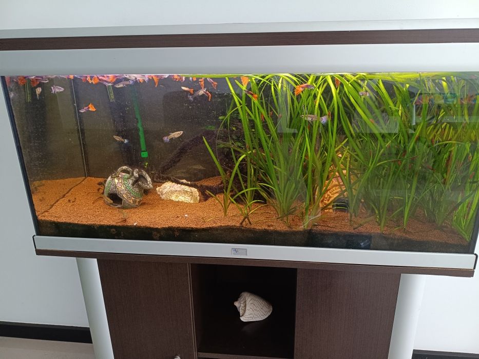 Aquário com movel completo de 200 litros
