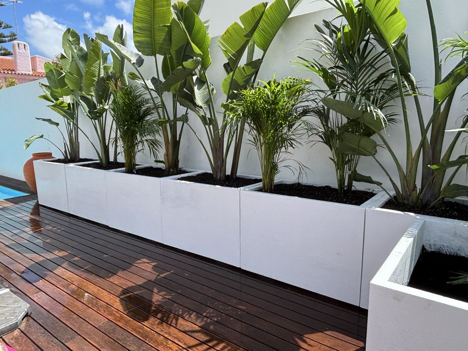 Vaso, floreiras e plantas