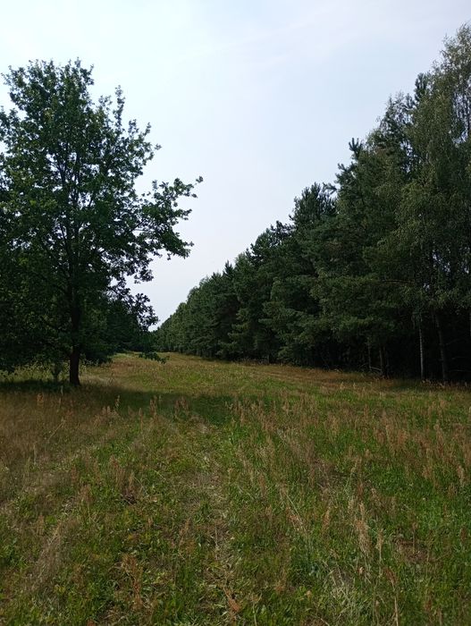 Dzialka budowlana
