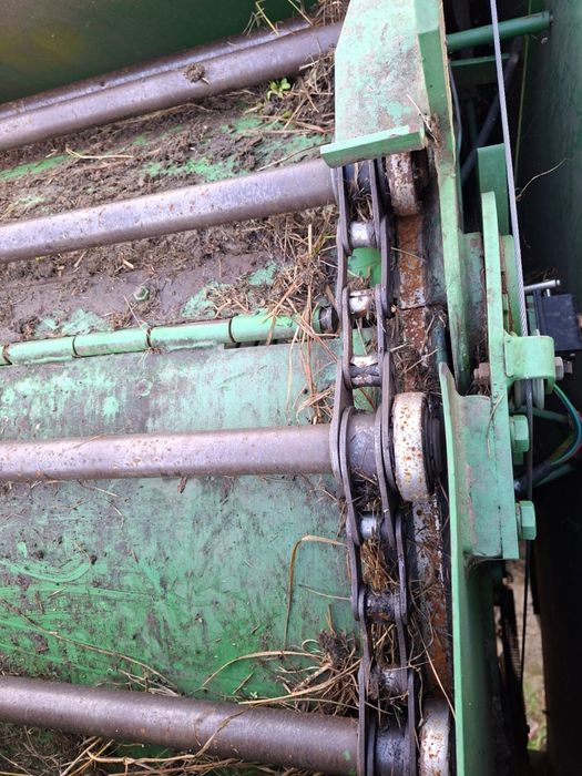 Sprzedam prase sipma z279/1