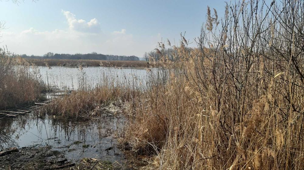 Земельна ділянка пл. 4 га (садівництво) Вороньківська с/р