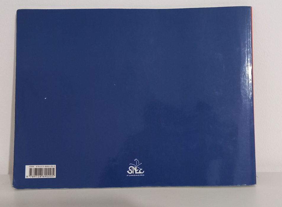 Catecismo 1.Ano (NOVO)