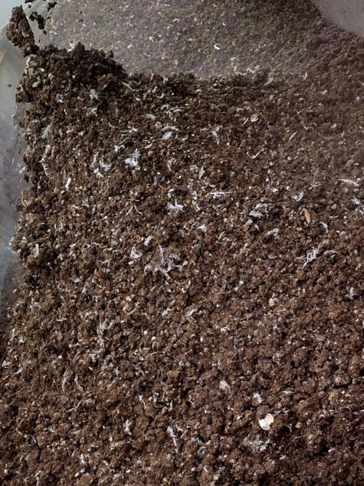 Obornik kurzy bobek i poferment(obornik kurzy+gnojowica)