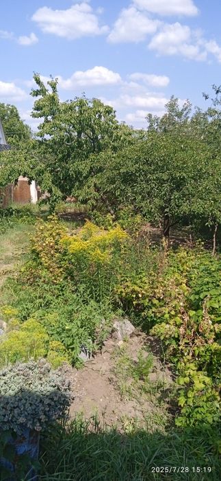 Продам 1/2 дома в Карачевке (Покотиловке)