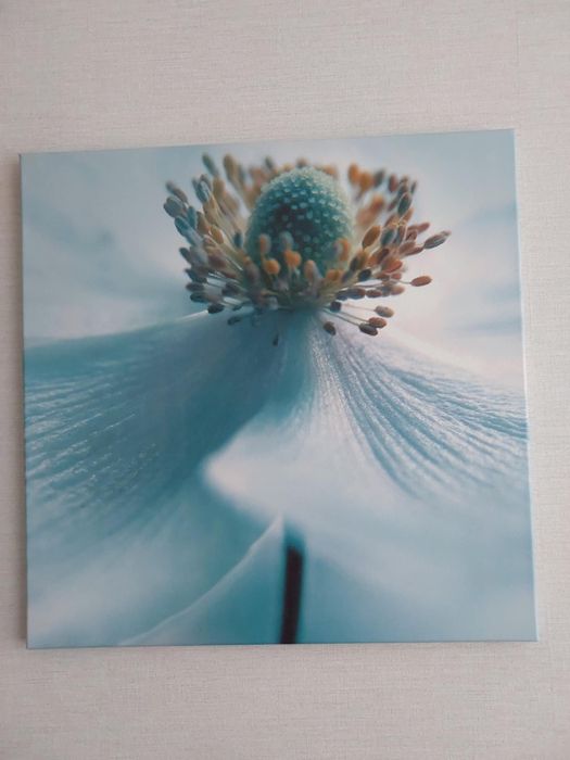 Obraz na płótnie kwiat