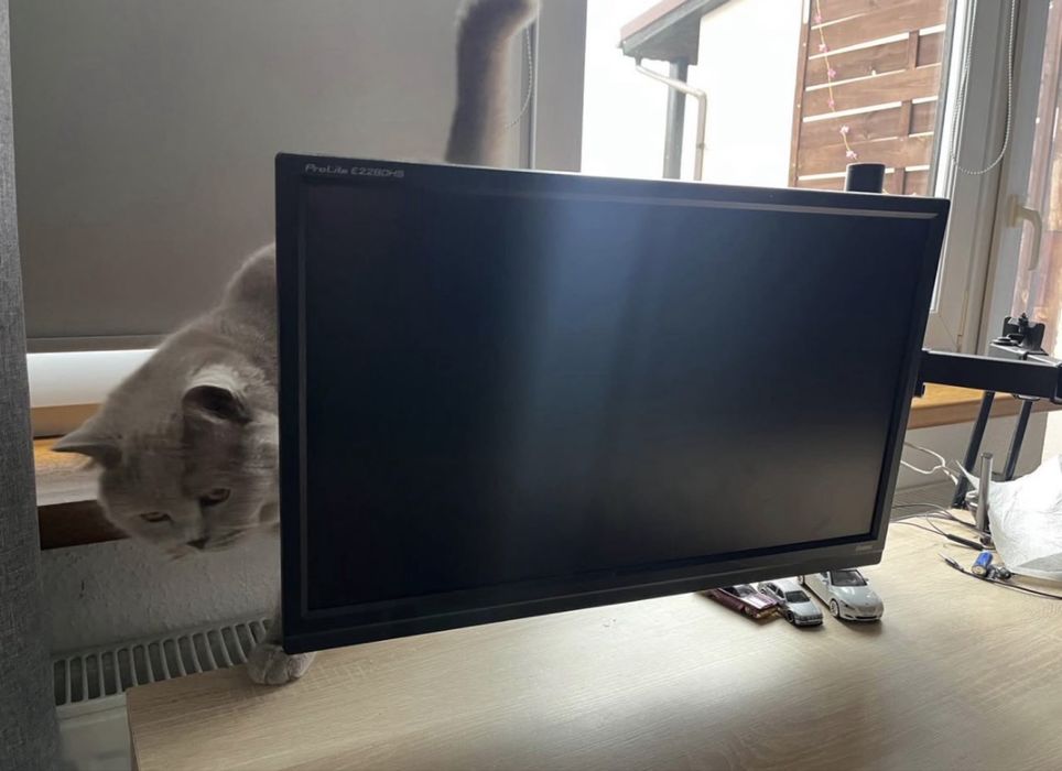 Monitor komputerowy