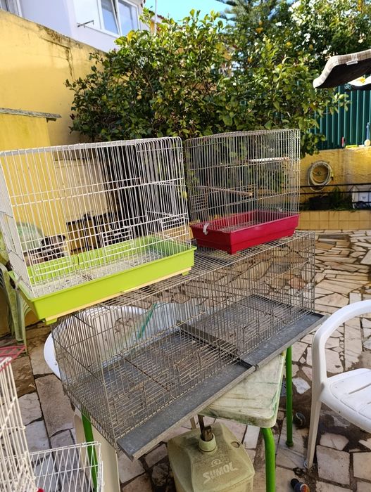 Gaiolas para canários
