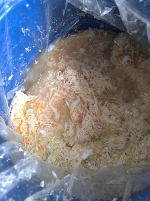 Kapusta kiszona tradycyjnie