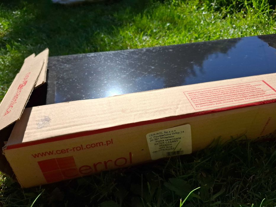 Płytka ceramiczna 26x60 aster czarny