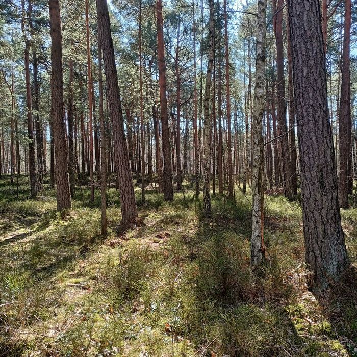 Działka  pod zabudowę jednorodzinną