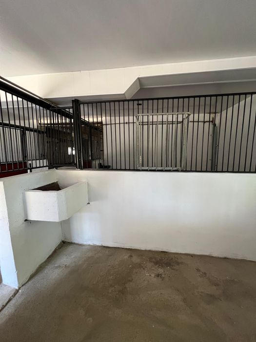 Do wynajęcia stajnia 6 boksów 3.5 ha wybieg