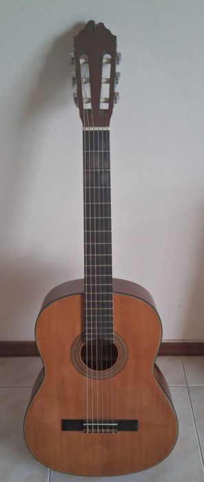 Guitarra Acústica George Washburn Nº C 10N 6 Cordas