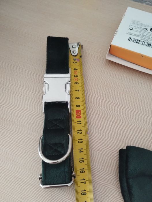 Elegancka obroża dla psa