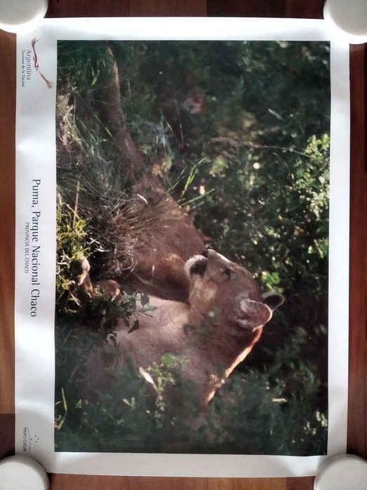 Expo 98: posters promocionais de vários países