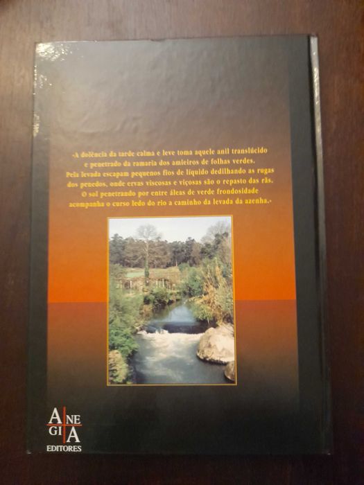 Livro "Paredes- Jóia do Sousa "