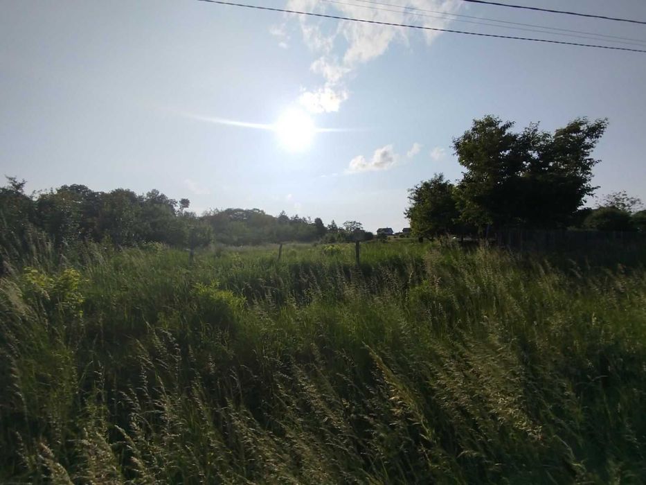 (8) Продам земельну ділянку в Бохониках 8614