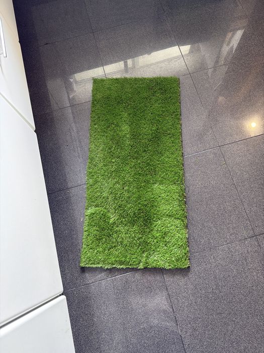 Terrario terratlantis 90x45x45 completo
