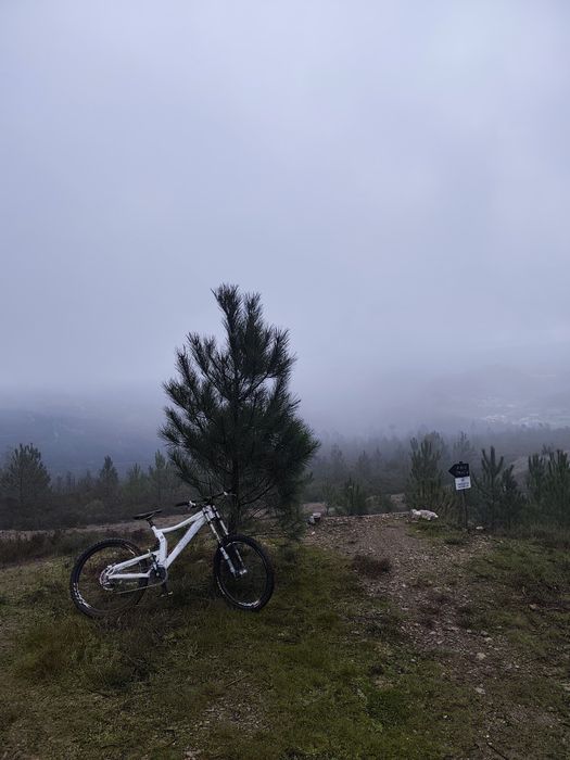 Bicicleta de downhill