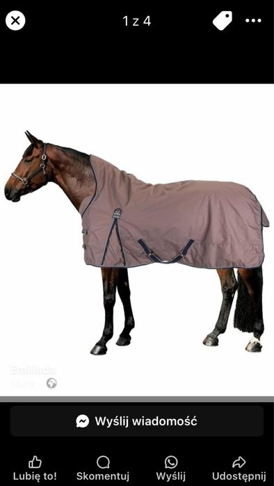 Derka dla konia thermo master Jesco II 100g rozmiar 115