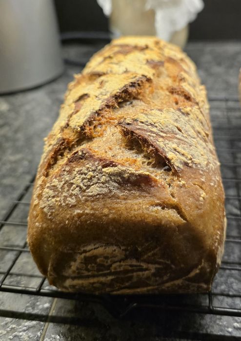 Zakwas bezglutenowy