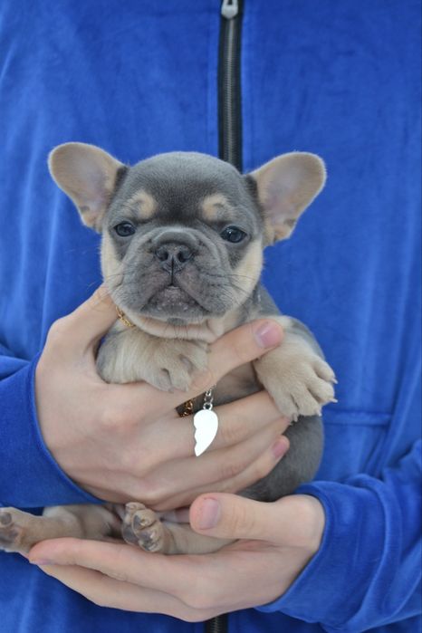 Малиш . блакитний хлопчік