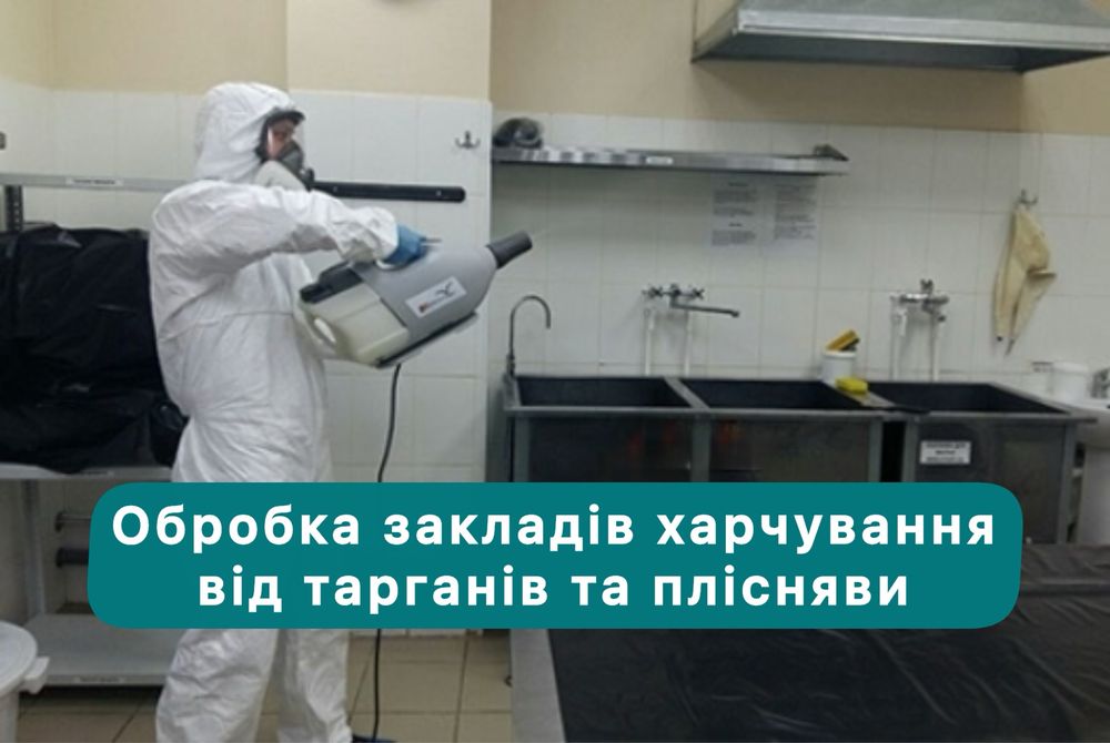 Травля тарганів клопів блох шершнів щурів мишей. Уничтожение тараканов клопов блох крыс мышей . Вытравить тараканов. Удаление плесени