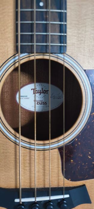 Taylor GS Mini-e Bass — Como Novo | Pouquíssimo Uso