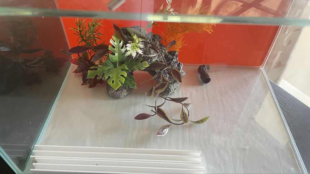 Aquario com filtro incluido