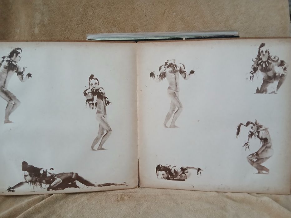 Disco de vinil - Ney Matogrosso