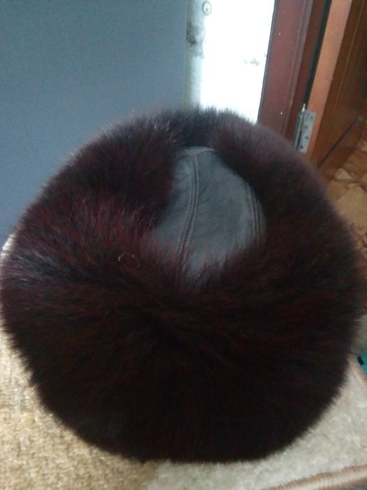 Песець фарбований в чорний!