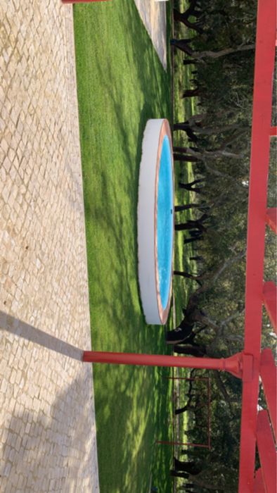 jardinagem manutenção de jardins
