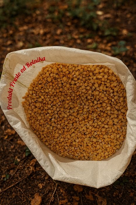 Groch połówki opakowanie 25kg wysyłka natychmiast Inpost