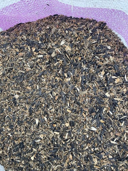 Продам відходи соняшника