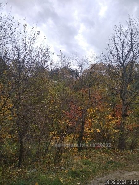 Продаж будинку Виговського