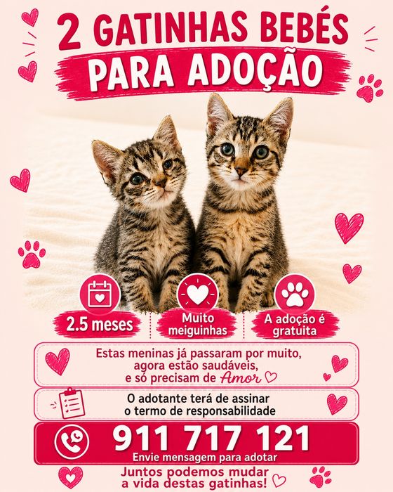 2 gatinhas bebés para Adoção Consciente