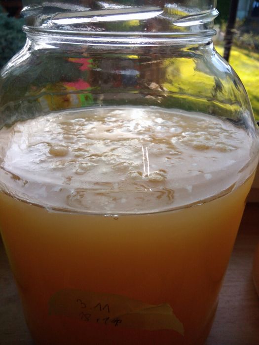 Ocet jabłkowy  oraz z czerwonej  porzeczki bio