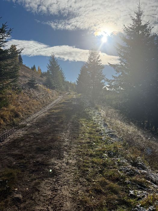 Ділянка біля Сховку під будову 22 сотки