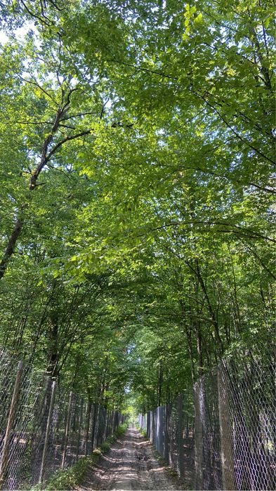 Продам  земельну ділянку