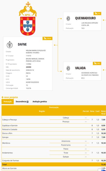 Égua Lusitana Preta