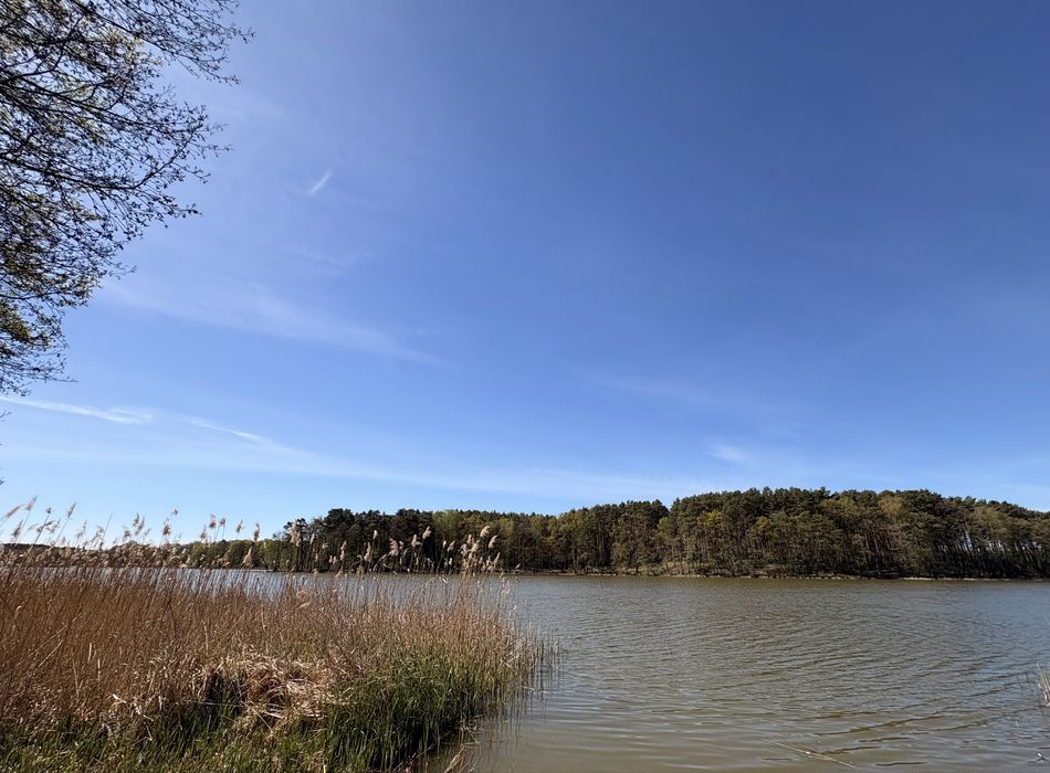 Przytulny domek letniskowy blisko jeziora i lasu