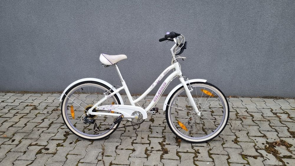 Rower Giant Gloss 24