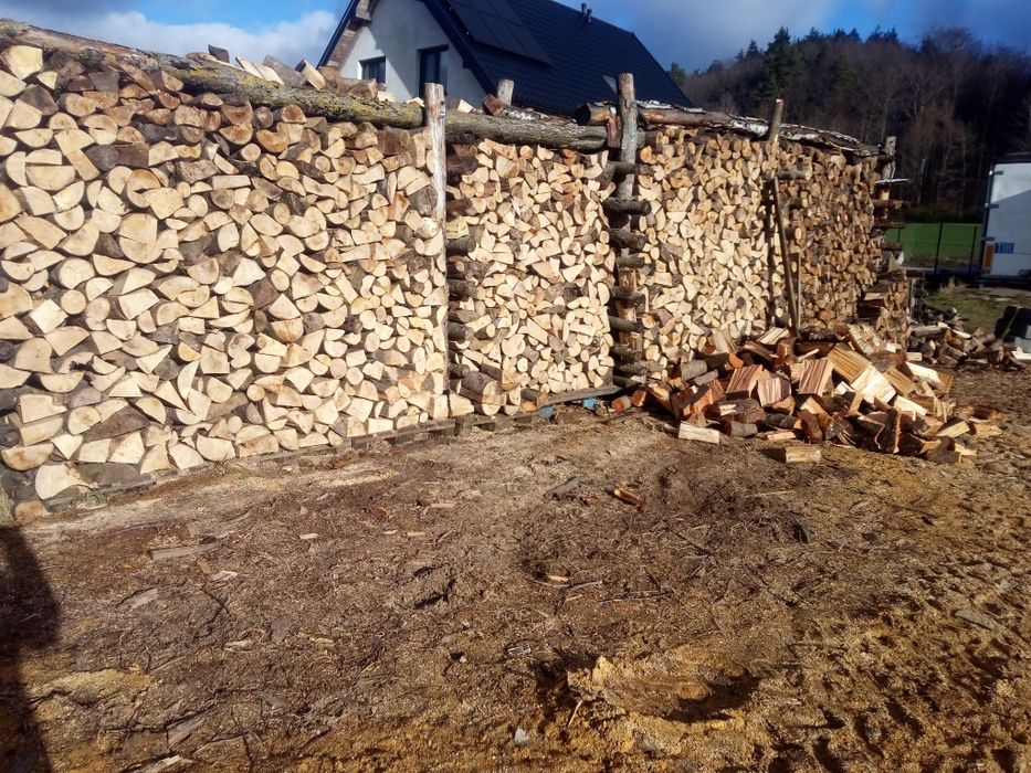 Drewno bukowe opałowe buk drzewo z transportem