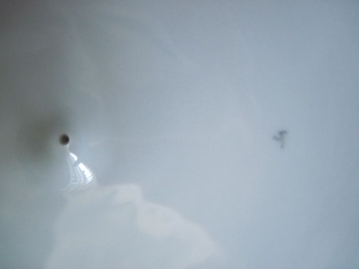 Супница Кузнецов целая