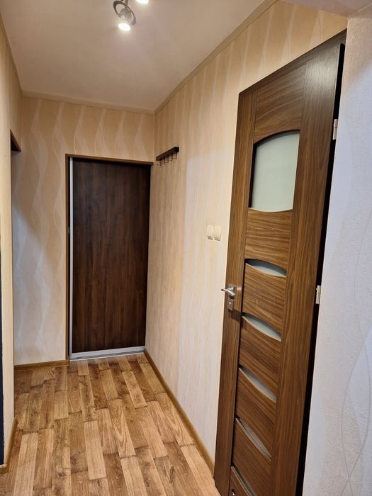 Mieszkanie do wynajęcia od listopada