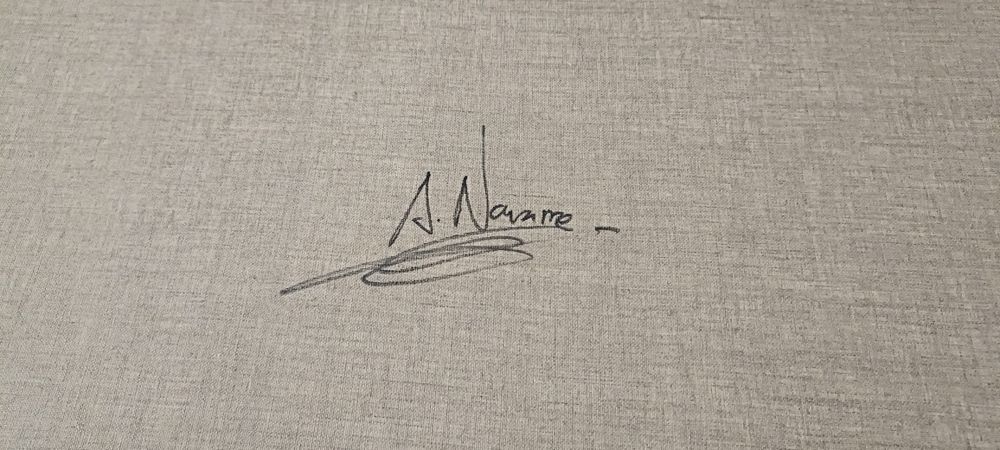 Pintura  em tela, original Navarro Montllor
